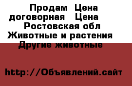 Продам. Цена договорная › Цена ­ 1 - Ростовская обл. Животные и растения » Другие животные   